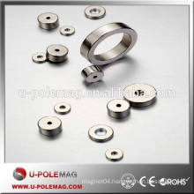 High Quality Customized N48 Hot Sale Permanent Magnetic Rotor